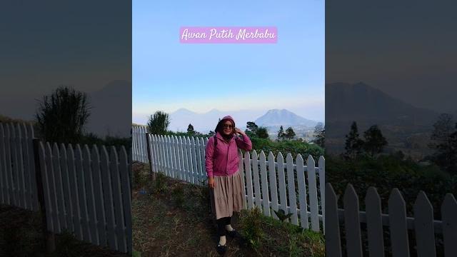 Awan putih merbabu #camping #glamping #resto #agrowisata #cuntel #kopeng #kabupatensemarang Awan putih merbabu #camping #glamping #resto #agrowisata #cuntel #kopeng #kabupatensemarang
