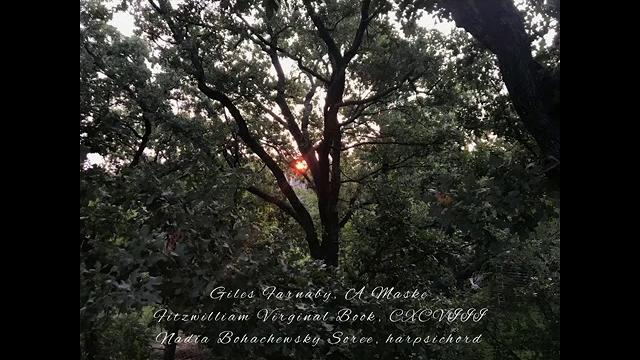 Giles farnaby, a maske, fitzwilliam virginal book, cxcviii, nadia bohachewsky soree, harpsichord Giles farnaby, a maske, fitzwilliam virginal book, cxcviii, nadia bohachewsky soree, harpsichord
