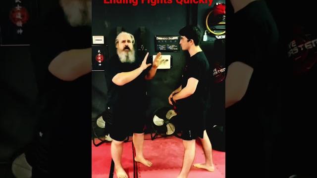 Ending fights quickly | “speedhitting” martial skills | #selfdefense #martialarts #kravmaga Ending fights quickly | “speedhitting” martial skills | #selfdefense #martialarts #kravmaga