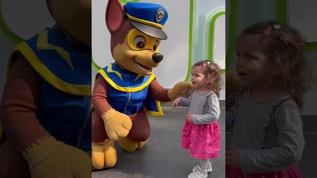 Paw patrol #patrulhacanina #nickelodeon #chase #marshall Paw patrol #patrulhacanina #nickelodeon #chase #marshall