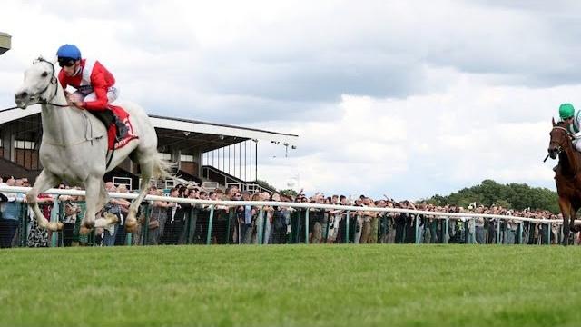 Estrange sparkles at haydock Estrange sparkles at haydock