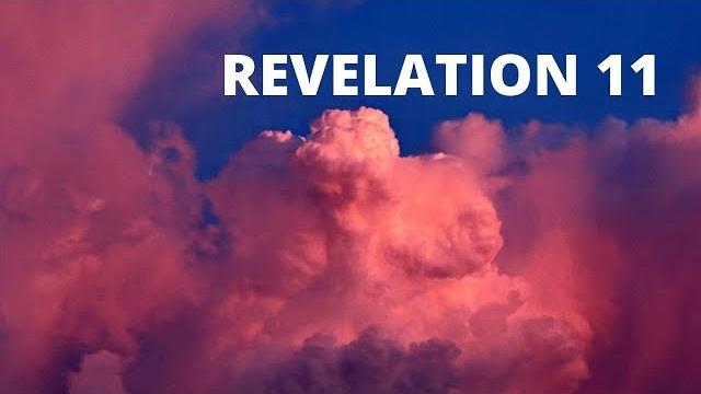 Who are the two witnesses of revelation 11? Who are the two witnesses of revelation 11?