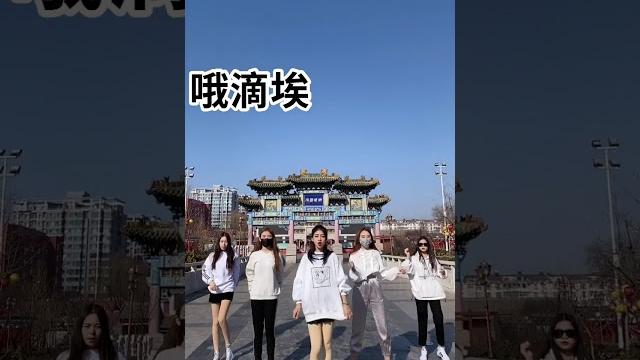八神摇 八神摇