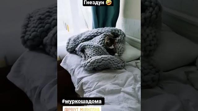 Лайм дома Лайм дома