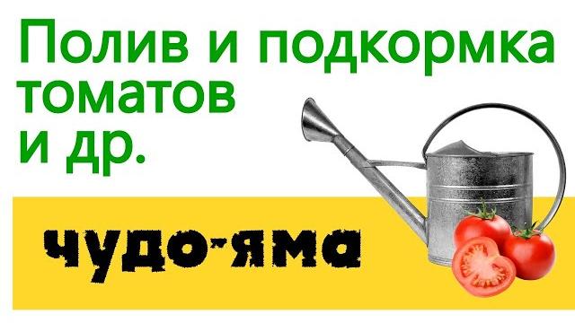 Универсальный способ полива подкормки томатов и др. Универсальный способ полива подкормки томатов и др.