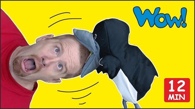 Body parts + more head shoulders and knees for kids | steve and maggie | speaking wow english tv Body parts + more head shoulders and knees for kids | steve and maggie | speaking wow english tv