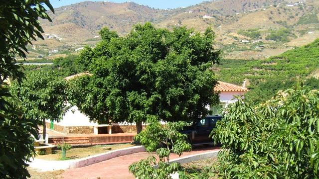 Ax1019 - cortijo mj, v Ax1019 - cortijo mj, v