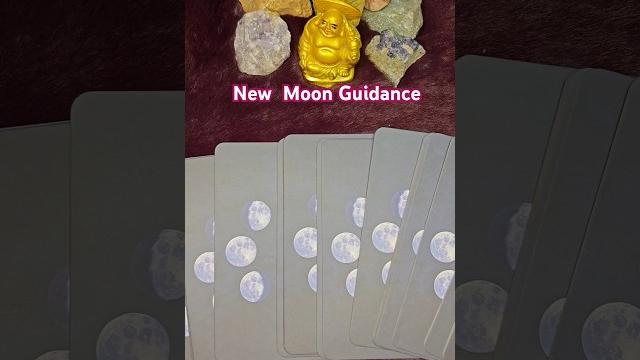New moon guidance @the_divine_touch New moon guidance @the_divine_touch