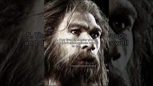 The main differences between us and neanderthals… #prehistoric #earlyhumans #iceage #neanderthal The main differences between us and neanderthals… #prehistoric #earlyhumans #iceage #neanderthal