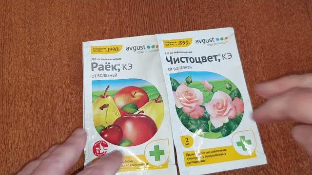 Опять обман! сначала семена, а теперь препараты от болезней растений. ловушка от фирмы "август". Опять обман! сначала семена, а теперь препараты от болезней растений. ловушка от фирмы "август".