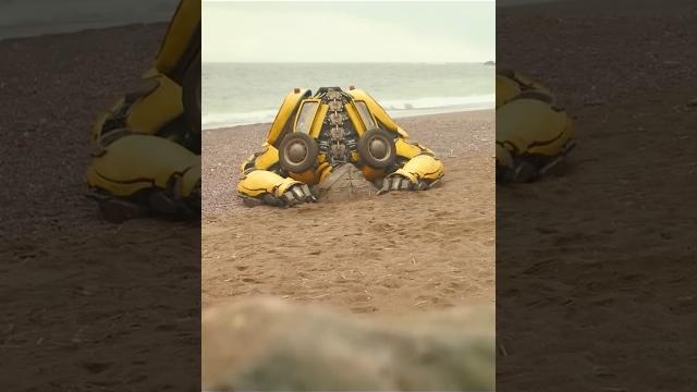 Bumblebee, are you serious #transformers #optimus #bumblebee Bumblebee, are you serious #transformers #optimus #bumblebee