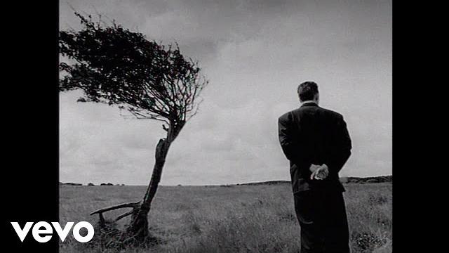 Black - wonderful life Black - wonderful life
