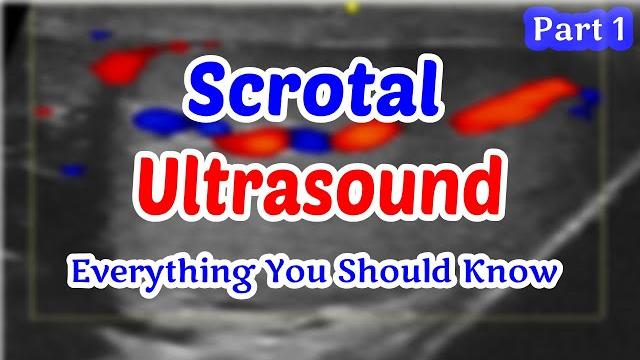 Scrotal ultrasound everything you should know (part 1) Scrotal ultrasound everything you should know (part 1)
