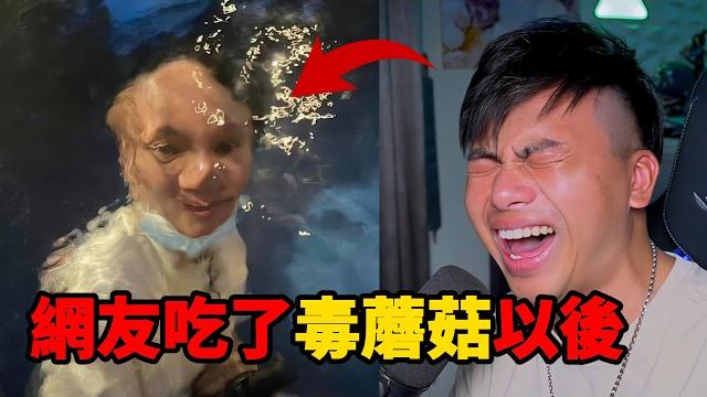 「梗文梗圖系列45集」三度笑得最累的一集,網友分享的毒蘑菇體驗太誇張! 「梗文梗圖系列45集」三度笑得最累的一集,網友分享的毒蘑菇體驗太誇張!