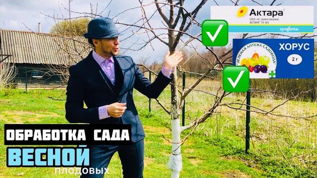 Актара + хорус ️ мощная баковая смесь весной Актара + хорус ️ мощная баковая смесь весной