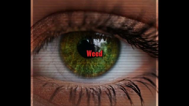 Hazel eyes.. Hazel eyes..