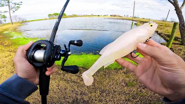 Fishing big swimbaits for giant bass (biggin caught) Fishing big swimbaits for giant bass (biggin caught)