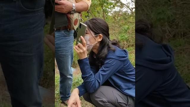 山竹狸柴山總部講解高壓法 山竹狸柴山總部講解高壓法