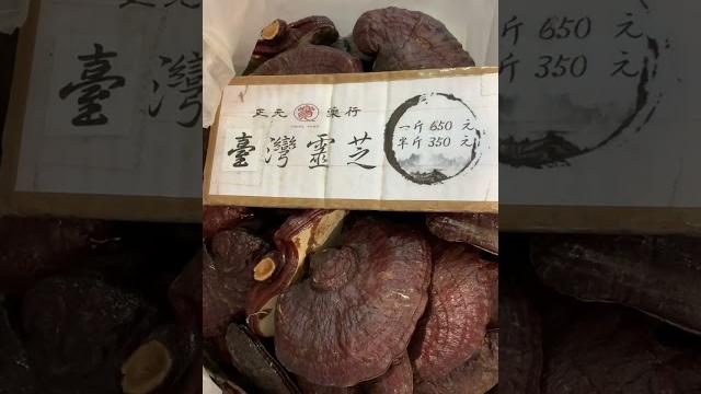 台灣靈芝 taiwanese lingzhi 台灣靈芝 taiwanese lingzhi