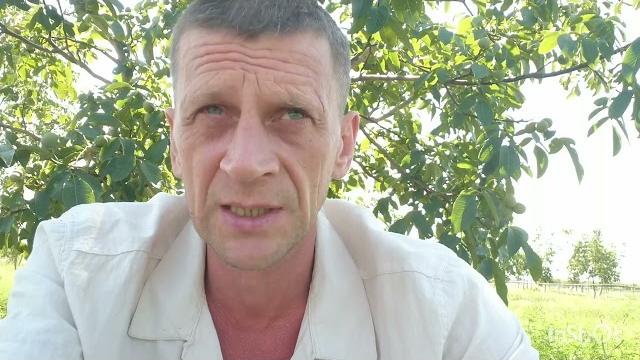 Сколько воды потребует ореховый сад? Сколько воды потребует ореховый сад?