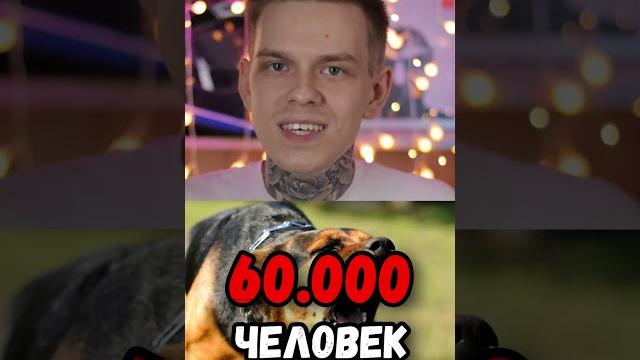 Самые опасные животные в мире Самые опасные животные в мире