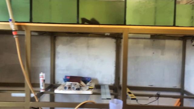 Рыборазводня своими руками на дому Рыборазводня своими руками на дому