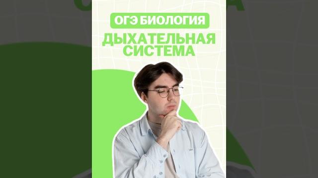 Дыхательная система #никитапавлов #биология #огэ Дыхательная система #никитапавлов #биология #огэ