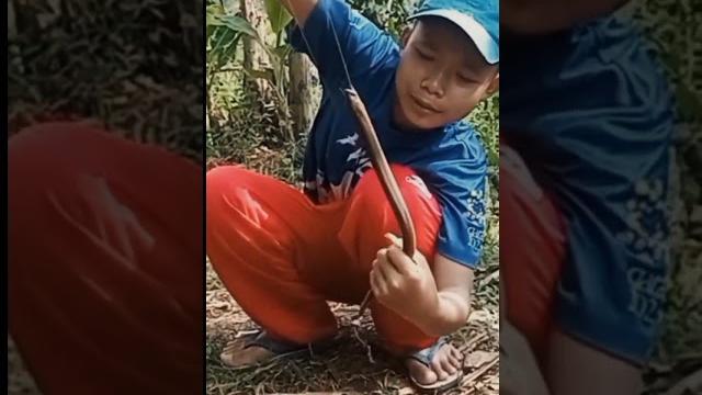 Strek belut abg montok Strek belut abg montok