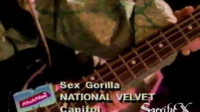 National velvet - sex gorilla (official music video) National velvet - sex gorilla (official music video)
