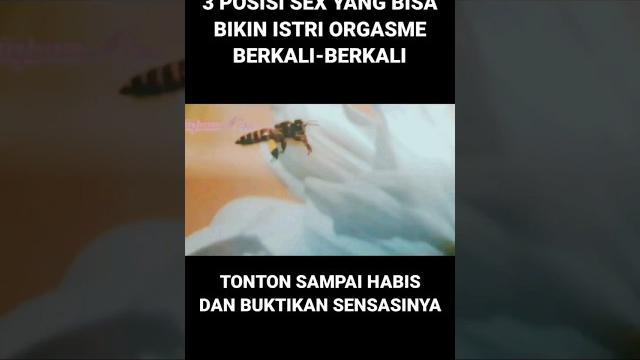 Suami wajib tahu 3 posisi sex ini #muna #love #lovestatus #lovestory #love_status #cinta #suamiistri Suami wajib tahu 3 posisi sex ini #muna #love #lovestatus #lovestory #love_status #cinta #suamiistri