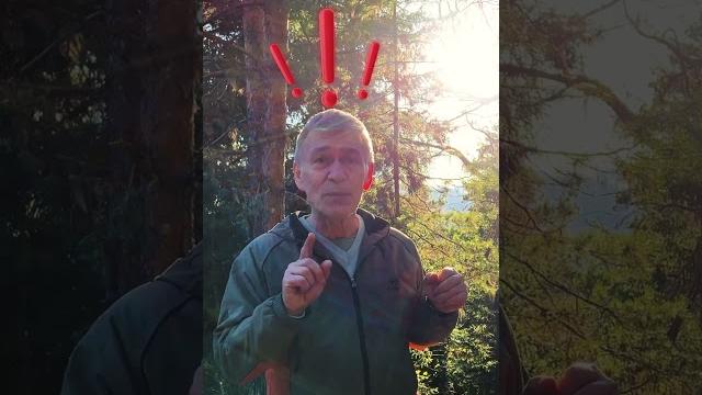Какого цвета солнце? #астрономия #знания #наука #владимирсурдин #планеты #интересно #солнце #факты Какого цвета солнце? #астрономия #знания #наука #владимирсурдин #планеты #интересно #солнце #факты