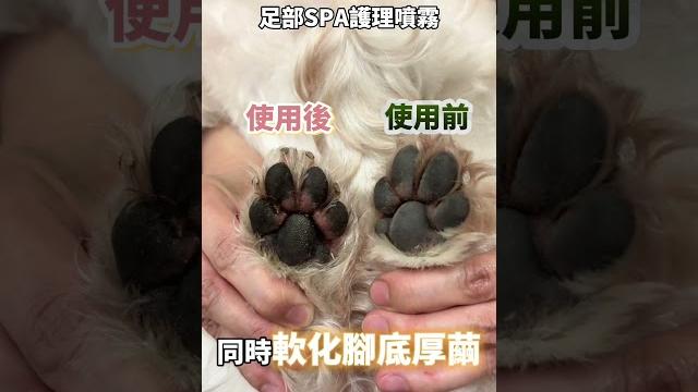 又偷舔腳腳⁉️ #皇家草本足部spa護理噴霧 又偷舔腳腳⁉️ #皇家草本足部spa護理噴霧