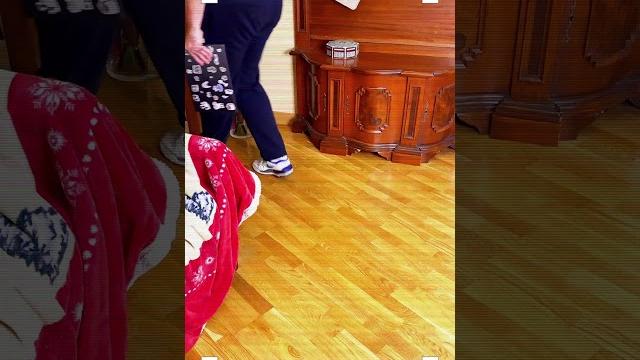 Чапитосиков украли! Чапитосиков украли!