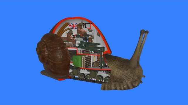 How a snail works How a snail works