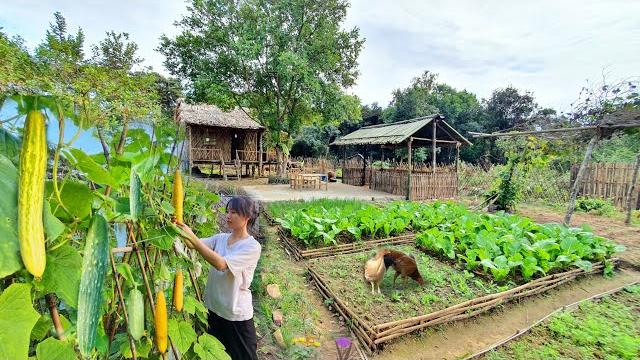 Full video: 75 days of farm life, gardening, farming, cooking, animal care | sơn thôn Full video: 75 days of farm life, gardening, farming, cooking, animal care | sơn thôn