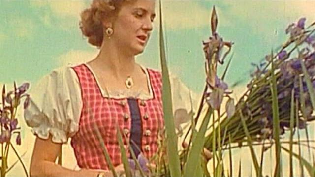 Hitler and eva braun's disturbing wedding Hitler and eva braun's disturbing wedding