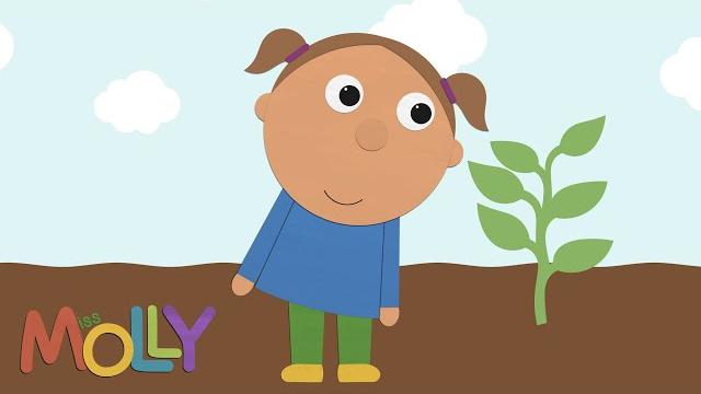 How does a plant grow? (lifecycle of plant) | miss molly sing along songs | the alphabet kids How does a plant grow? (lifecycle of plant) | miss molly sing along songs | the alphabet kids