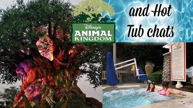 Disney world florida vlogs 2017 | episode 18 : animal kingdom, pandora and hot tub chats Disney world florida vlogs 2017 | episode 18 : animal kingdom, pandora and hot tub chats