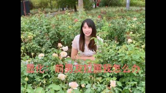 显化sp:男朋友拉黑我应该怎么办 显化sp:男朋友拉黑我应该怎么办