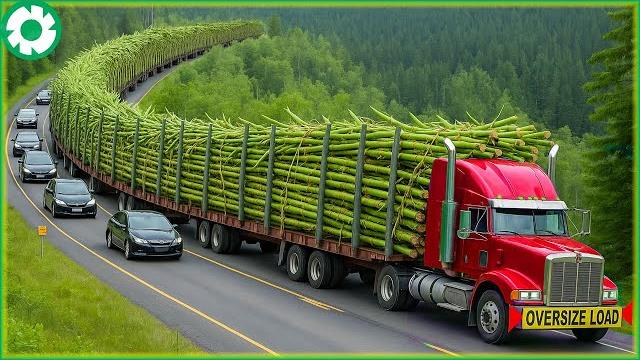 111 jaw-dropping most dangerous transport skills | biggest heavy machinery machines - the engine 111 jaw-dropping most dangerous transport skills | biggest heavy machinery machines - the engine