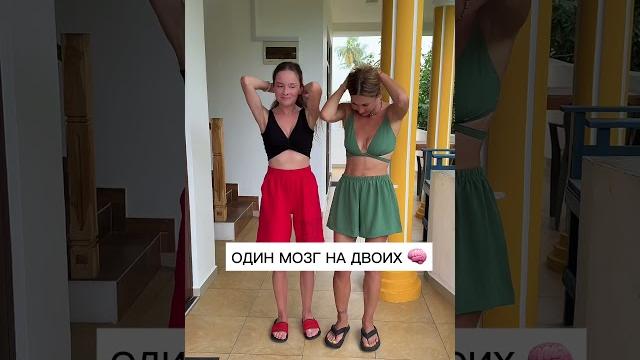 Один мозг на двоих)) Один мозг на двоих))
