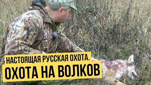 Настоящая русская охота // охота на волков Настоящая русская охота // охота на волков