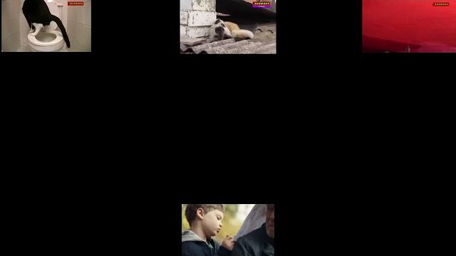 6 видео в одном экране 6 видео в одном экране