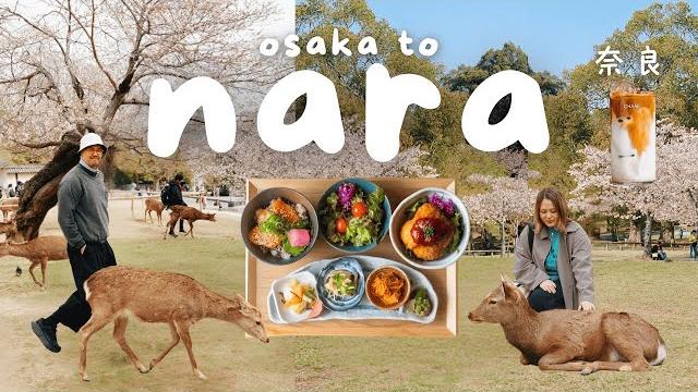 Nara japan vlog nara deer park, osaka day trip, things to do in nara | japan travel guide 2025 Nara japan vlog nara deer park, osaka day trip, things to do in nara | japan travel guide 2025