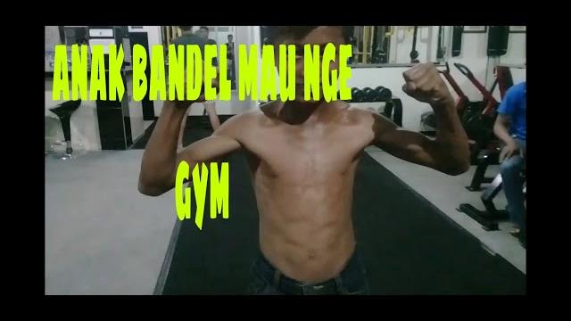 Anak bandel pergi nge gym Anak bandel pergi nge gym