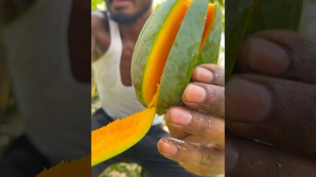 Fresh ripe mango #fruit Fresh ripe mango #fruit