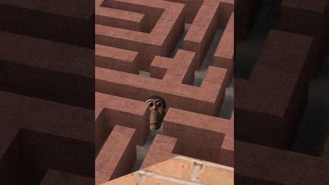 Vs. obunga #2 Vs. obunga #2