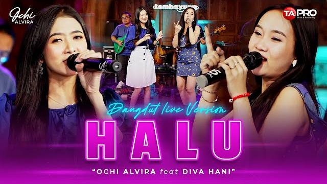 Ochi alvira ft. diva hani - halu (live dangdut version) | jika ditakdirkan dia untukku akan ku jaga Ochi alvira ft. diva hani - halu (live dangdut version) | jika ditakdirkan dia untukku akan ku jaga