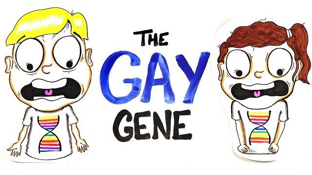 Does everybody have a gay gene? Does everybody have a gay gene?