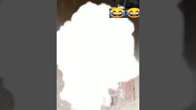Watch till the end vk maestro Watch till the end vk maestro